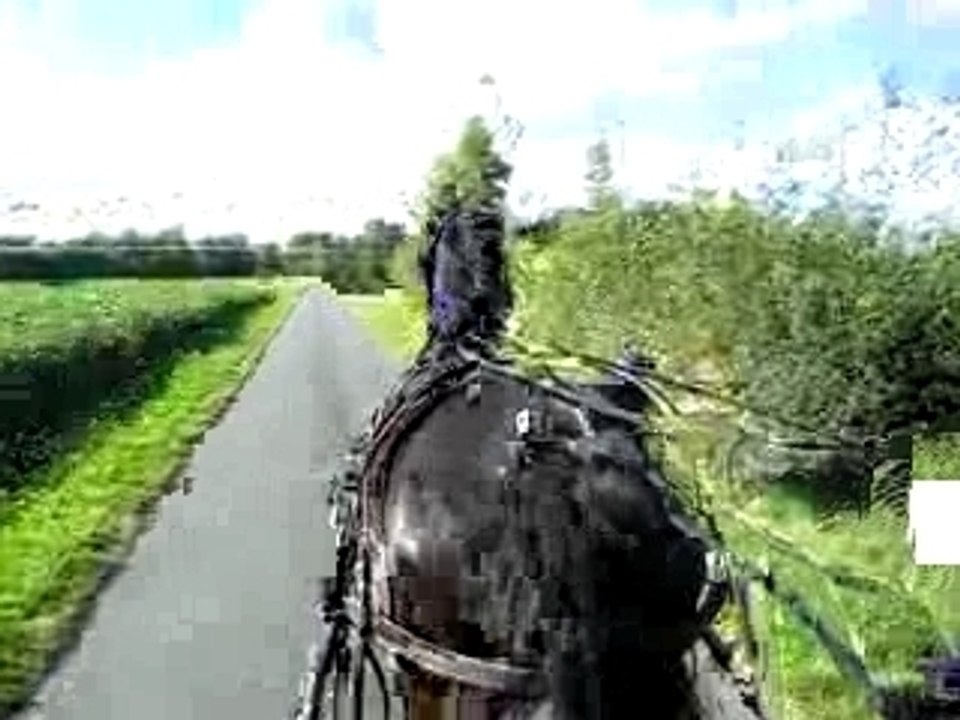 Attelage