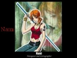 persentation de perso one piece