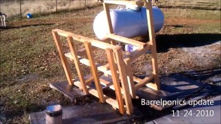 Barrel Aquaponics Update - 11/24/2010