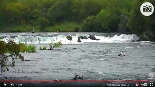 9;41am 081016 410 moves 151 and ??? above falls Katmai National Park and Explore