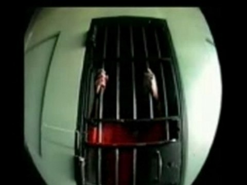 Tha Dogg Pound - I-d Rather Lie Ya (Daz Dillinger ~