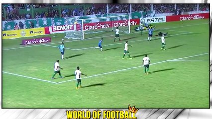 LUAN VIEIRA _ Gremio _ Goals, Skills, Assists _ 2016  (HD)