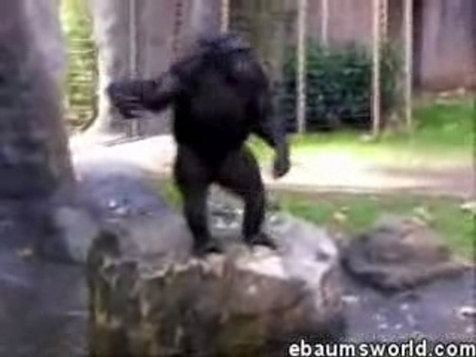 Tecktonik MONKEY killer