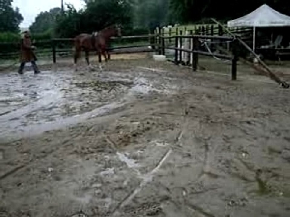 Epaule en dedans en longues rênes