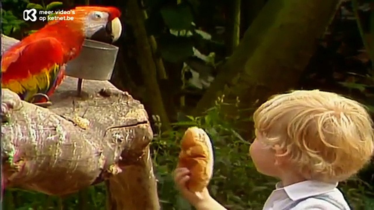 Tik tak