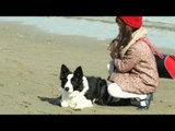 IO e la TIGRE - io e il mio cane (videoclip)