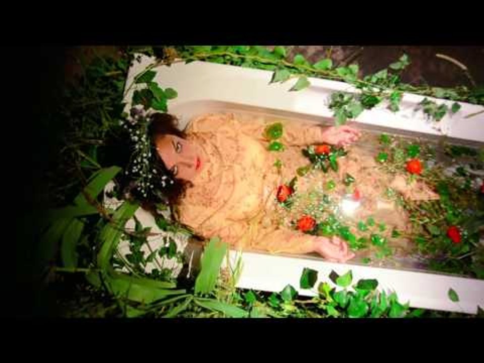IO e la TIGRE - I santi