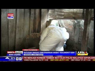 110 Itik di Semarang Mati Disebabkan Flu Burung