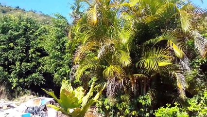 LOTE CASI CUADRADO EN MEDIO DE EXUBERANTE NATURALEZA