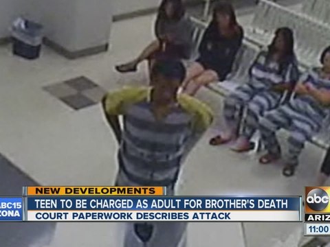 Disturbing details released after older brother kills younger sibling in Youngtown