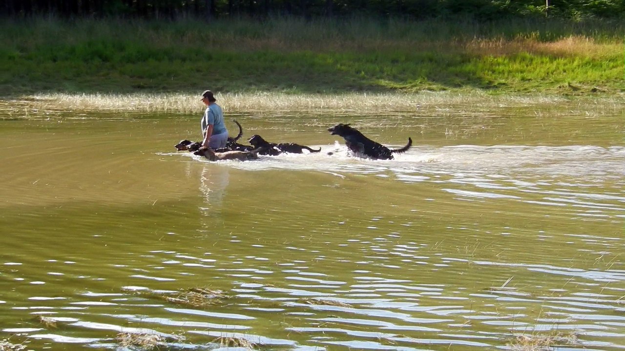 1ere sortie a l'eau des jeunes du souvenir de varof