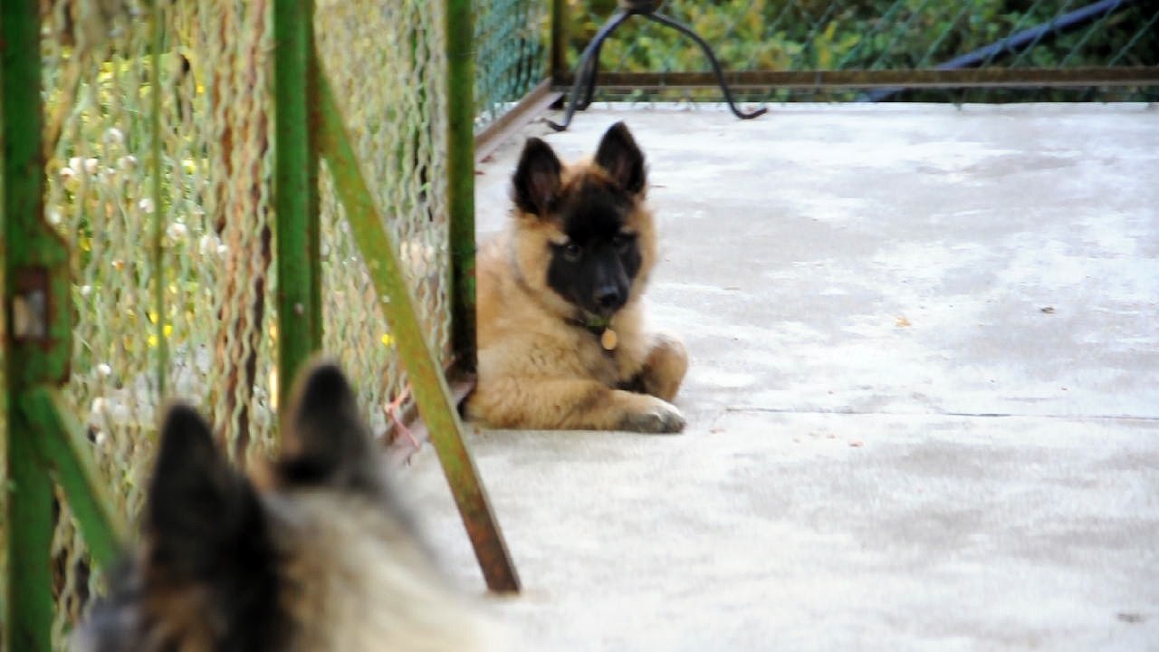 Il est où le BONHEUR ? Moi, je l'ai trouvé içi...et avec eux!