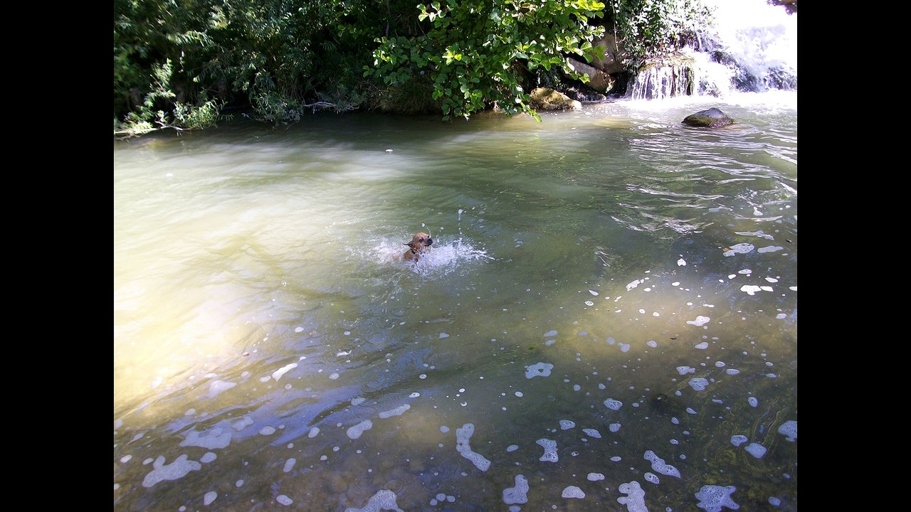 Kiki the star of web like REMI GAILLARD