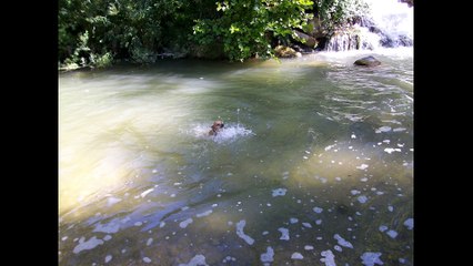 Kiki the star of web like REMI GAILLARD