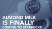 Almond Milk Is Coming To Starbucks
