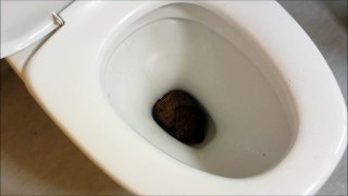 Flushing dark/brown bread and yoghurt down the toilet