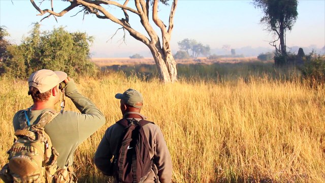 Botswana Tours Safaris