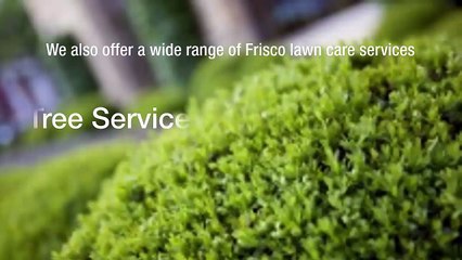 Improve Lawns Properly With The Help Of CitiTurf