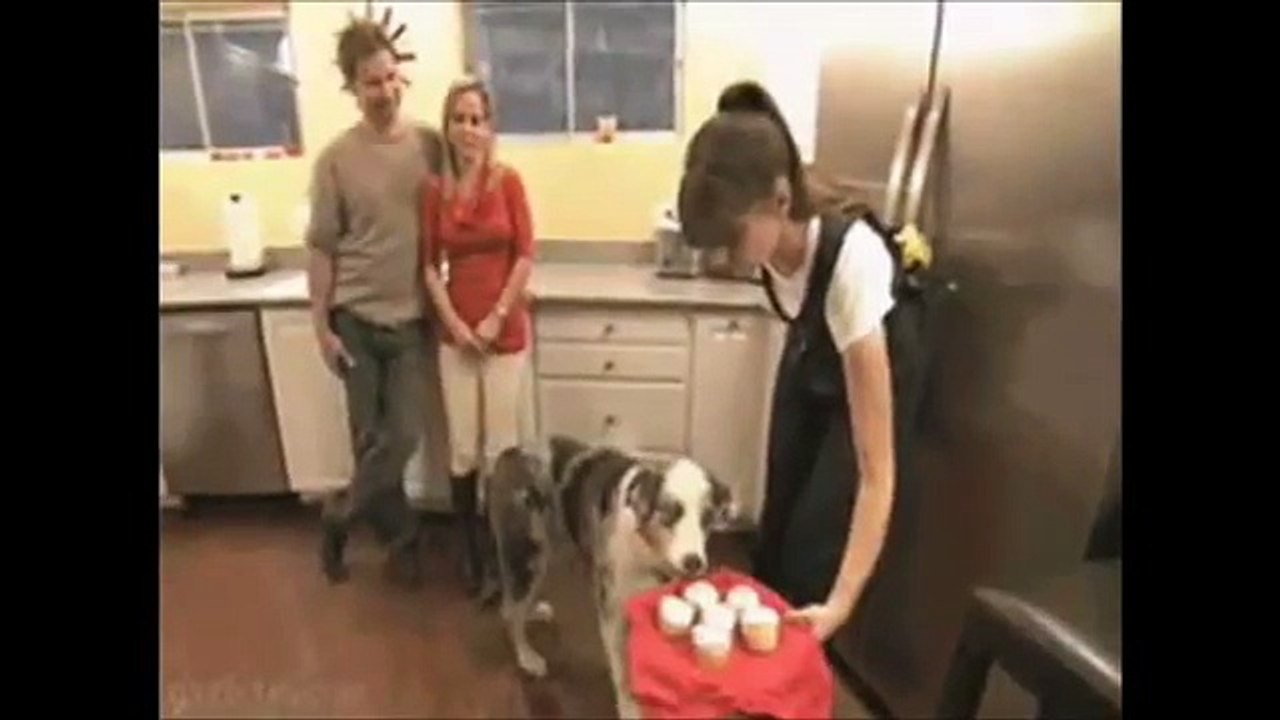 Vietnam Family Guy Flashback