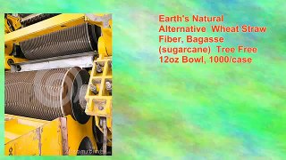 Best Earth's Natural Alternative Wheat Straw Fiber Bagasse Sugarcane T Review