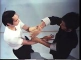 Técnicas Básicas de Wing Chun