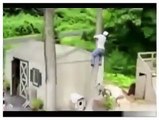 Funny Bloopers ,Very Funny Must Watch,hahaha