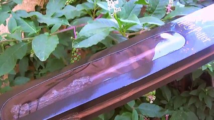 Presentation de la baguette de Harry Potter ( blister)