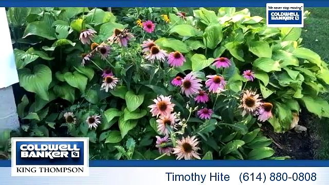 Residential for sale - 2584 Sawmill Meadows Avenue, Dublin, OH 43016