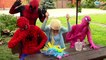 Superhero misic party - Spiderman & Pink Girl & Frozen Elsa w/ Deadpool Superheroes in real life