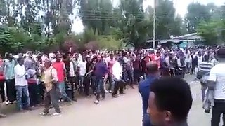 ጎንደር ምን እየሆነች ነዉ? Gondar Revolution