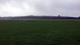 View of the 2016 Irish National trial field