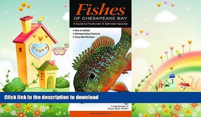 Download Video: EBOOK ONLINE  Fishes of Chesapeake Bay: A Guide to Freshwater   Saltwater Species (Quick