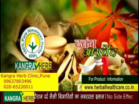 Kangra Herbs clinic Pune. Best treatment for Cancer, kidney failure, paralysis, HIV,Muscular Dystrophy, Arthiritis, Parkinson’s,joint pain