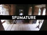 COSTA! - Sfumature - 99 posse cover (Liryc Video)