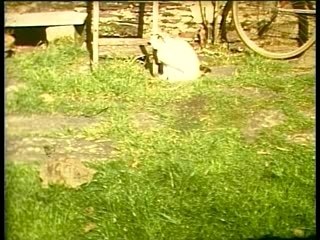 Pixilation Bon appetit