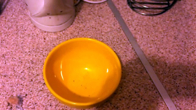 Gotta have my bowl , gotta have cereal