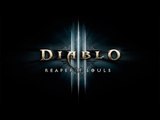 Diablo III - Witch Doctor gameplay II 04042014