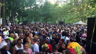 Iced Tea - Soul Summit - Fort Greene Park Brooklyn - New York City August 7,  2016