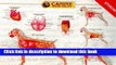 [Download] Canine Internal Organ Anatomy Chart Paperback Collection