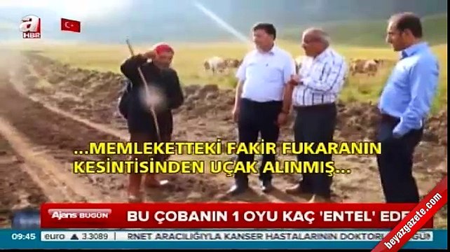 Bu çobanın bir oyu kaç 'entel' eder?