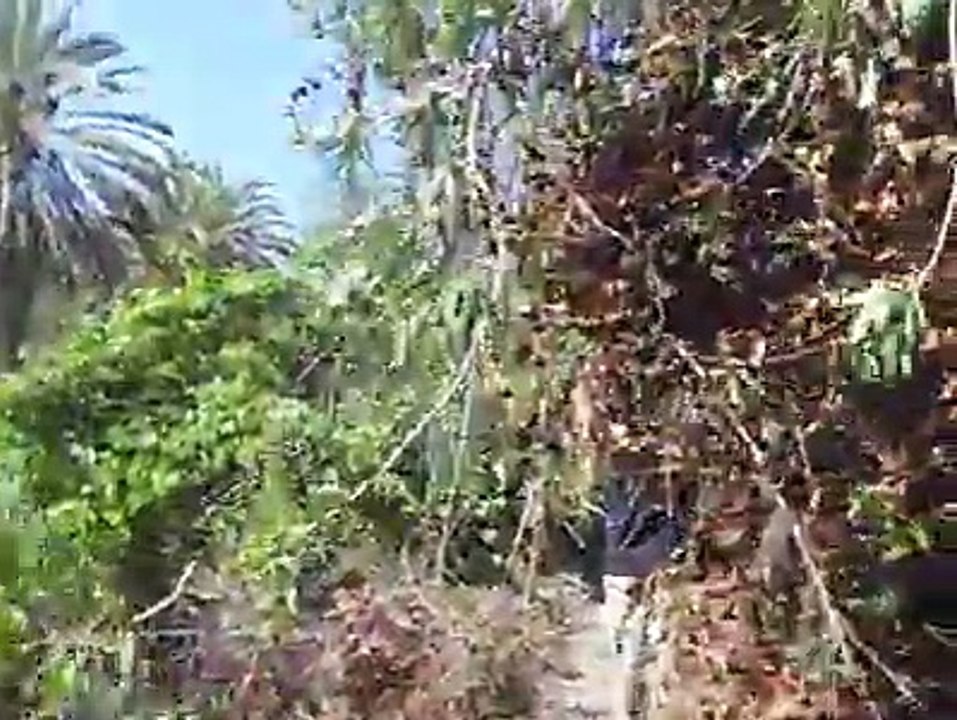 Voyage randonnée Targua ntouchka ,chtouka ait baha