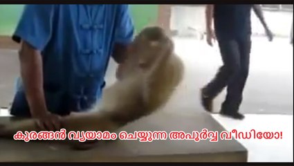 Monkey Push Ups Exercise