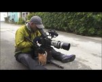 Un gattino di strada si avvicina al fotografo e quello che fa è sorprendente