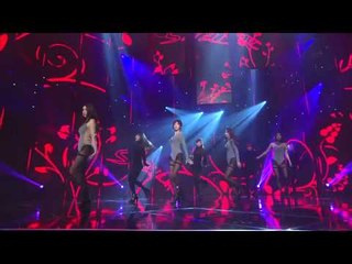 스텔라 마리오네트 19세   쇼챔피언95회