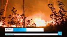 France fires: 2700 hectares of land ravaged in Marseille region