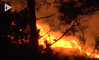 Trois morts dans les incendies qui ravagent l’île de Madère depuis lundi