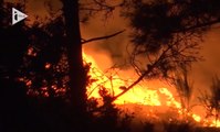 Trois morts dans les incendies qui ravagent l’île de Madère depuis lundi