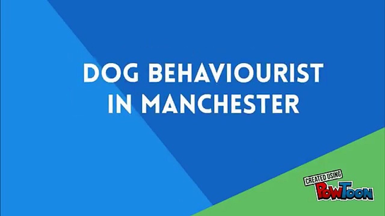 Dog behaviourist in Manchester