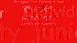 Championnat international indiv agility Artéis syn