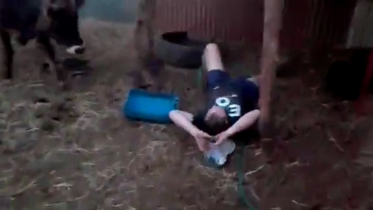 Il essaye de monter un jeune taureau..